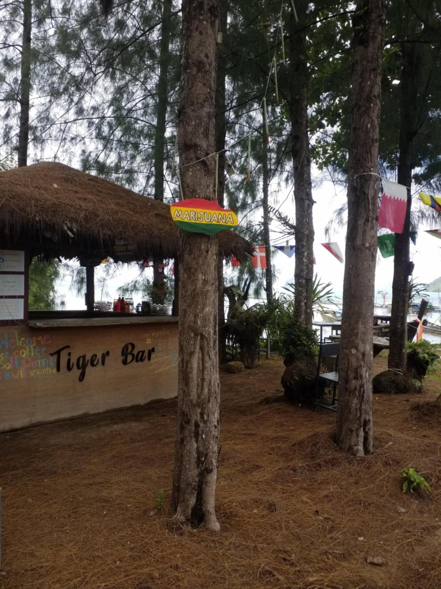 فيلا Coconut Corner كو ياو نوي المظهر الخارجي الصورة